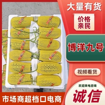 博洋九号六一大量上市一手货源对接各大市场商超电商