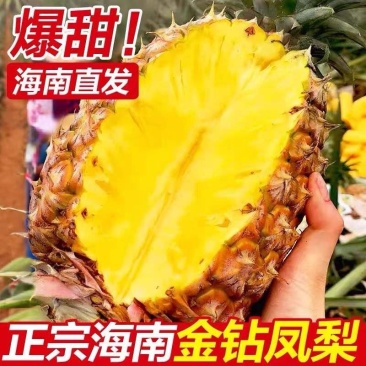 正宗海南金钻凤梨对接各平台电商支持一件代＆发团购