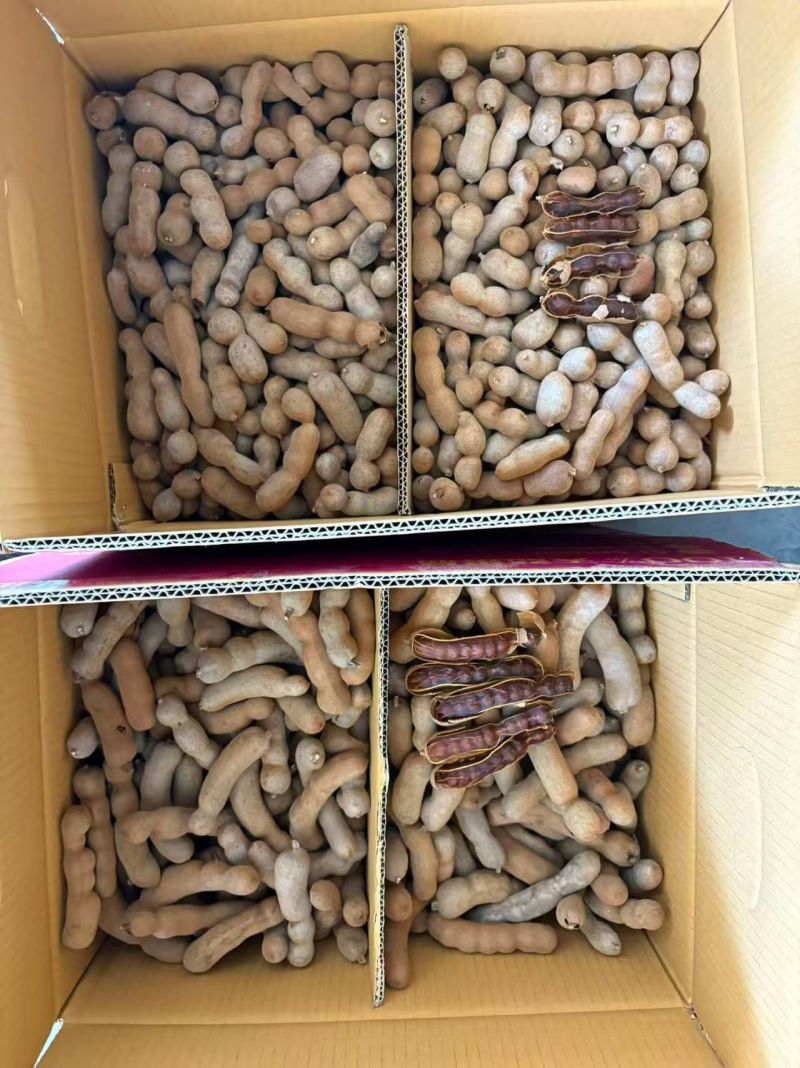 泰国新货甜酸角甜角云南甜酸角甜角批发一手货源一件代发