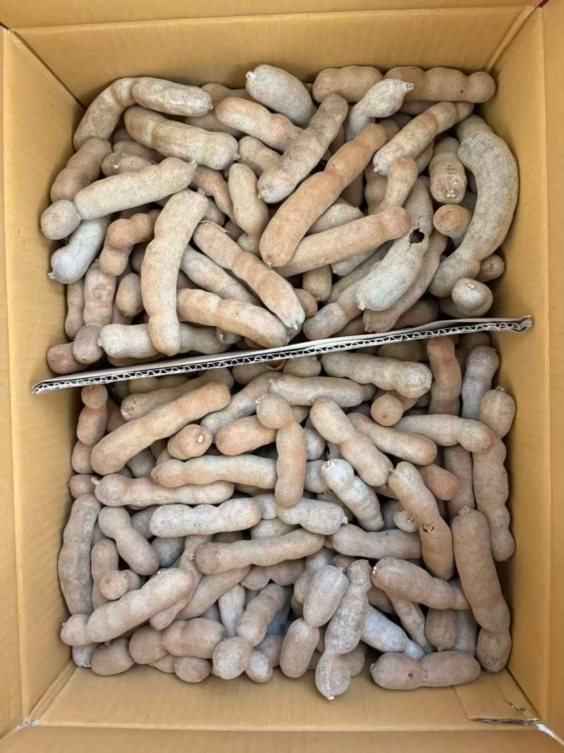 泰国新货甜酸角甜角云南甜酸角甜角批发一手货源一件代发