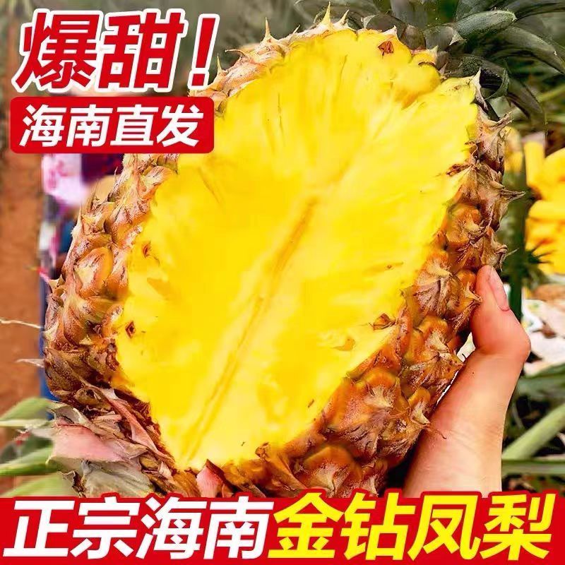 正宗海南金钻凤梨对接各平台电商支持一件代＆发团购