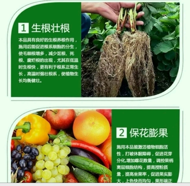 根腐专用微生物菌剂有机质50%高活性菌10亿防死颗抗重茬
