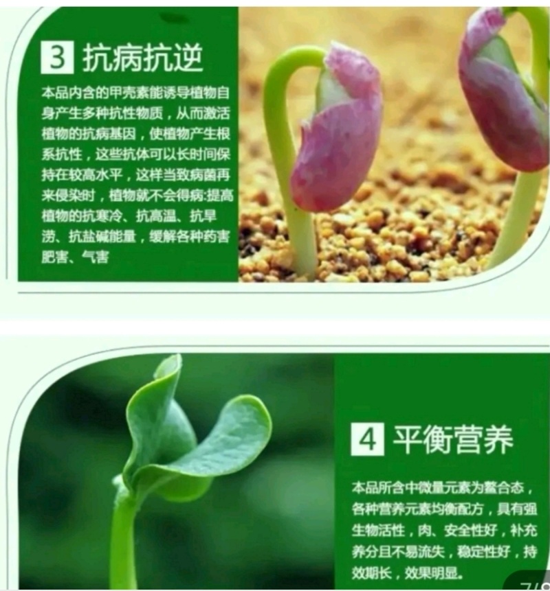 根腐专用微生物菌剂有机质50%高活性菌10亿防死颗抗重茬
