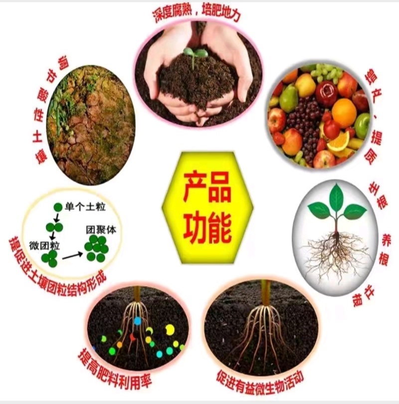 生物有机肥中国梦自家菜园用瓜红果绿好吃又健康厂家直销