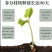 黄腐酸钾微生物菌剂活性菌2亿促生根抗重茬改土壤提地温