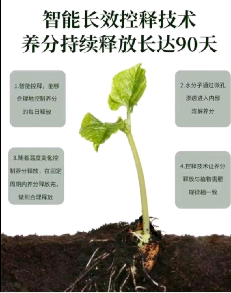 黄腐酸钾微生物菌剂活性菌2亿促生根抗重茬改土壤提地温