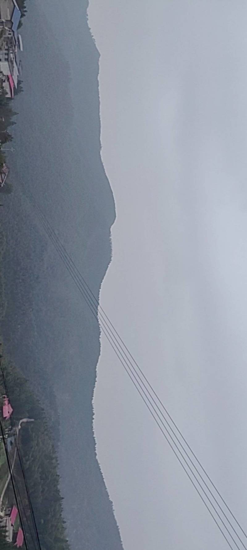 湖南邵阳高海拔纯野生春笋