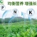 大量元素水溶肥大量元素菌肥速溶快吸收
