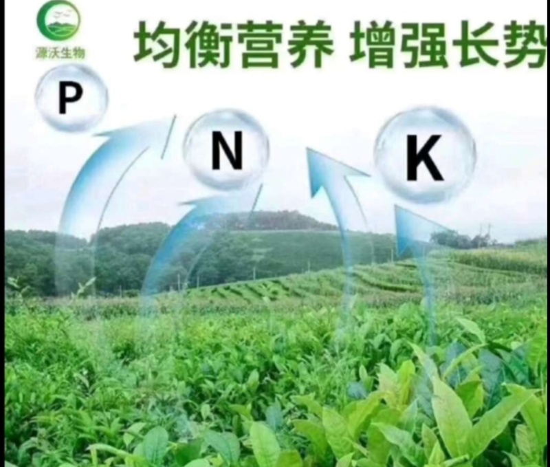 大量元素水溶肥大量元素菌肥速溶快吸收