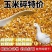 当季新玉米粒喂鸡鸭鹅鸽子碎玉米颗粒饱满散装养殖