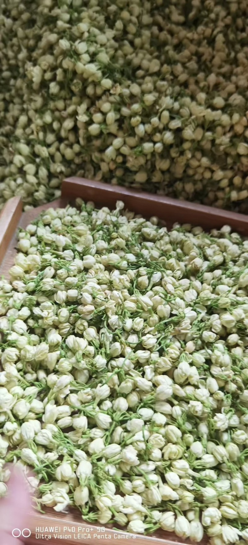 茉莉白茶小圆饼紧压茶工厂批发
