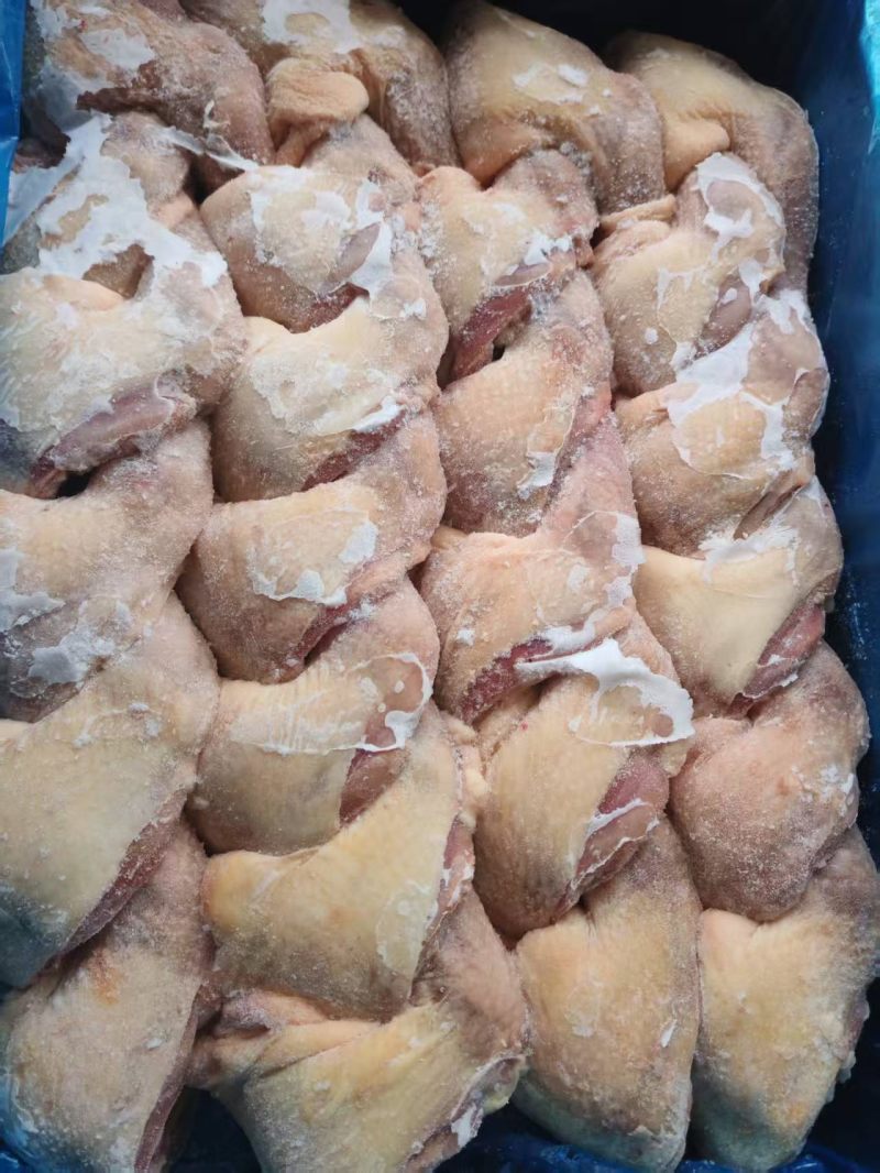 现宰老母鸡鸡腿