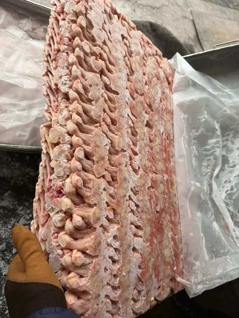 现宰老母鸡三节翅