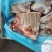 进口猪小排不带脊骨品质好