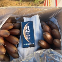 海南精品皇帝蕉，红香蕉，产地全国直发质量保证货源充足