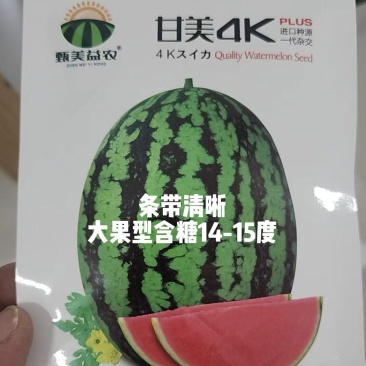 甘美4KF1西瓜种子进口种源皮薄含糖量15度耐裂性强易坐