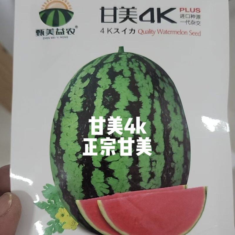 甘美4KF1西瓜种子进口种源皮薄含糖量15度耐裂性强易坐
