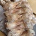 鸭头10-12个有12吨货