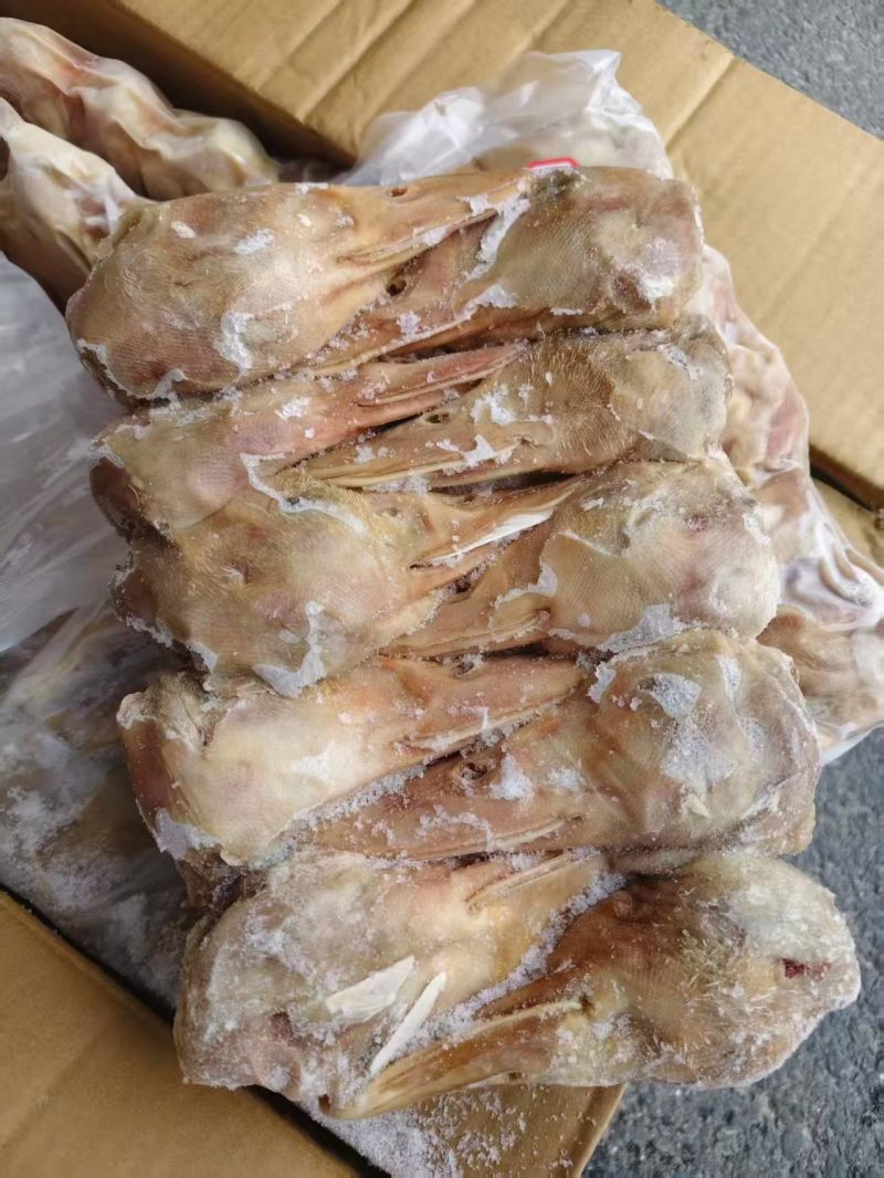 鸭头10-12个有12吨货