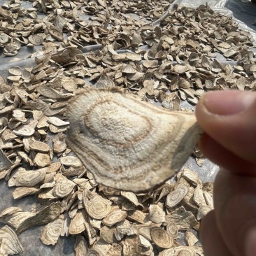 正宗深山野生葛根片