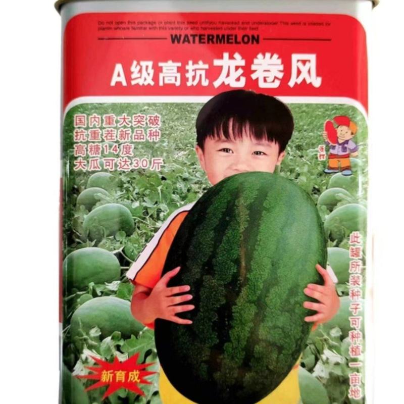 高抗龙卷风西瓜苗，服务周到，价格实惠，苗场直发，技术指导