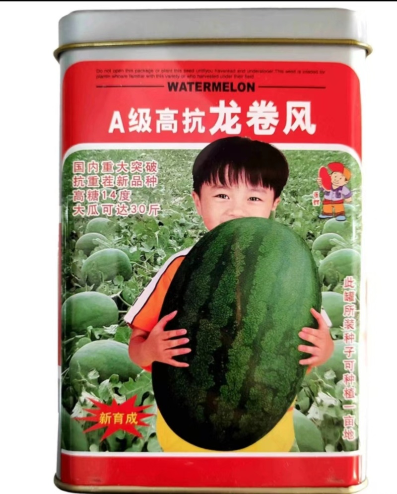 高抗龙卷风西瓜苗，服务周到，价格实惠，苗场直发，技术指导