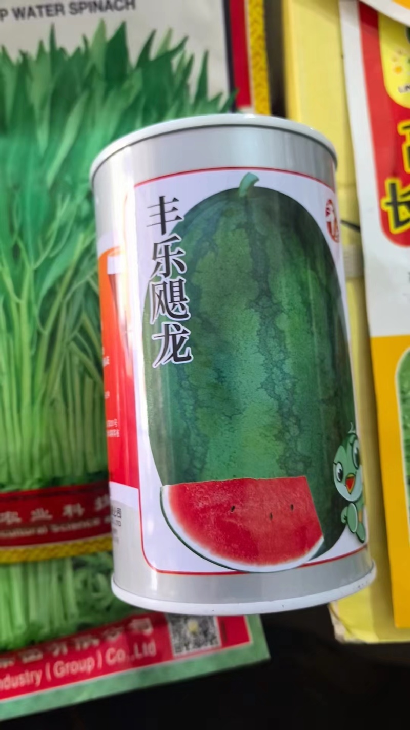 高抗龙卷风西瓜苗，服务周到，价格实惠，苗场直发，技术指导