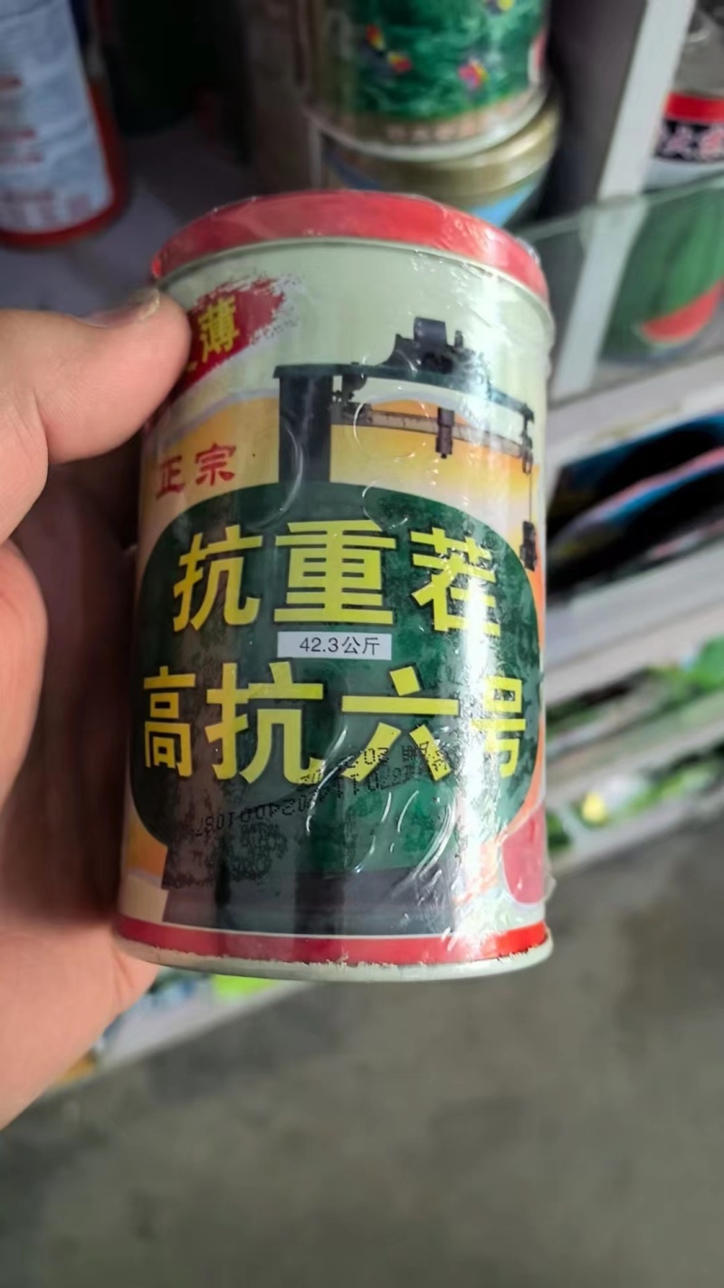 高抗龙卷风西瓜苗，服务周到，价格实惠，苗场直发，技术指导