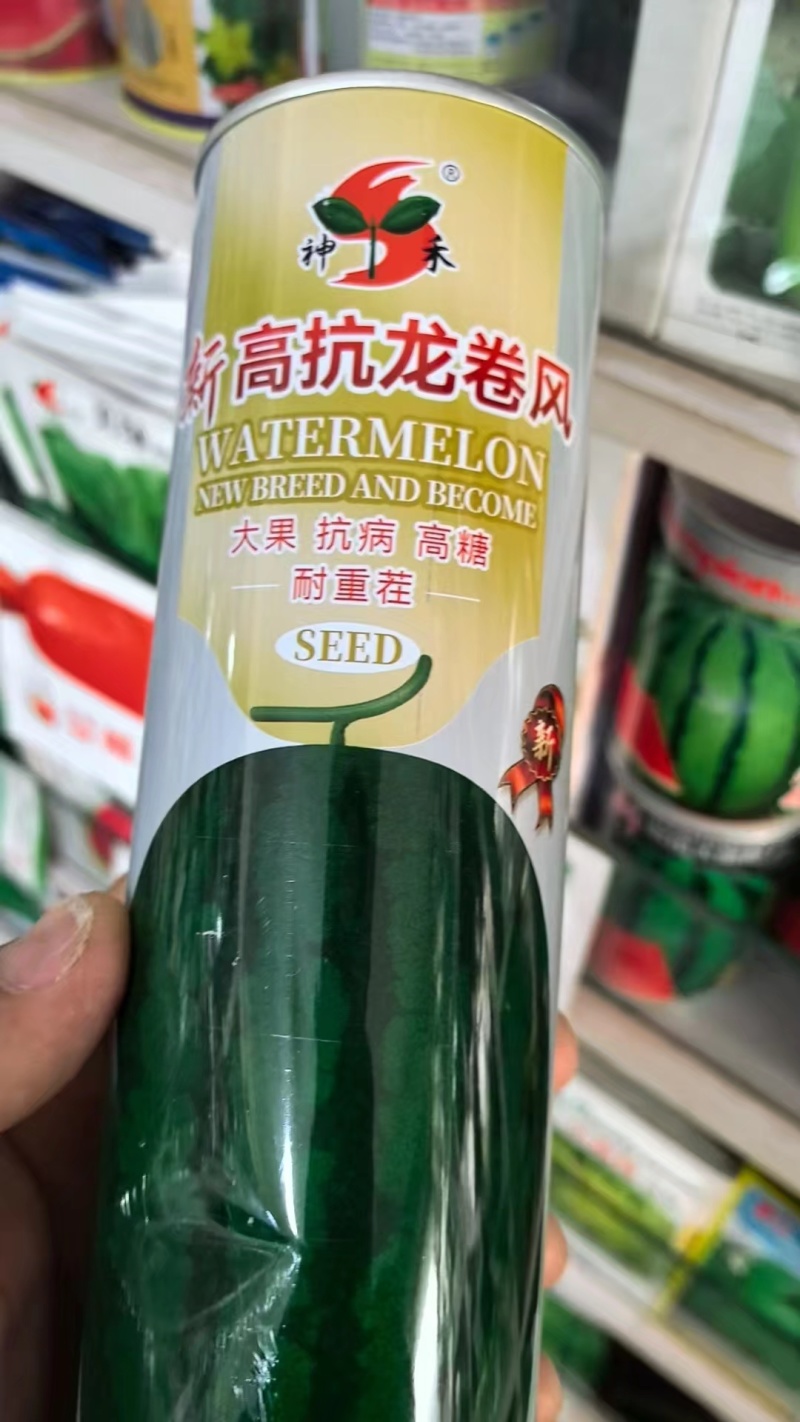 高抗龙卷风西瓜苗，服务周到，价格实惠，苗场直发，技术指导