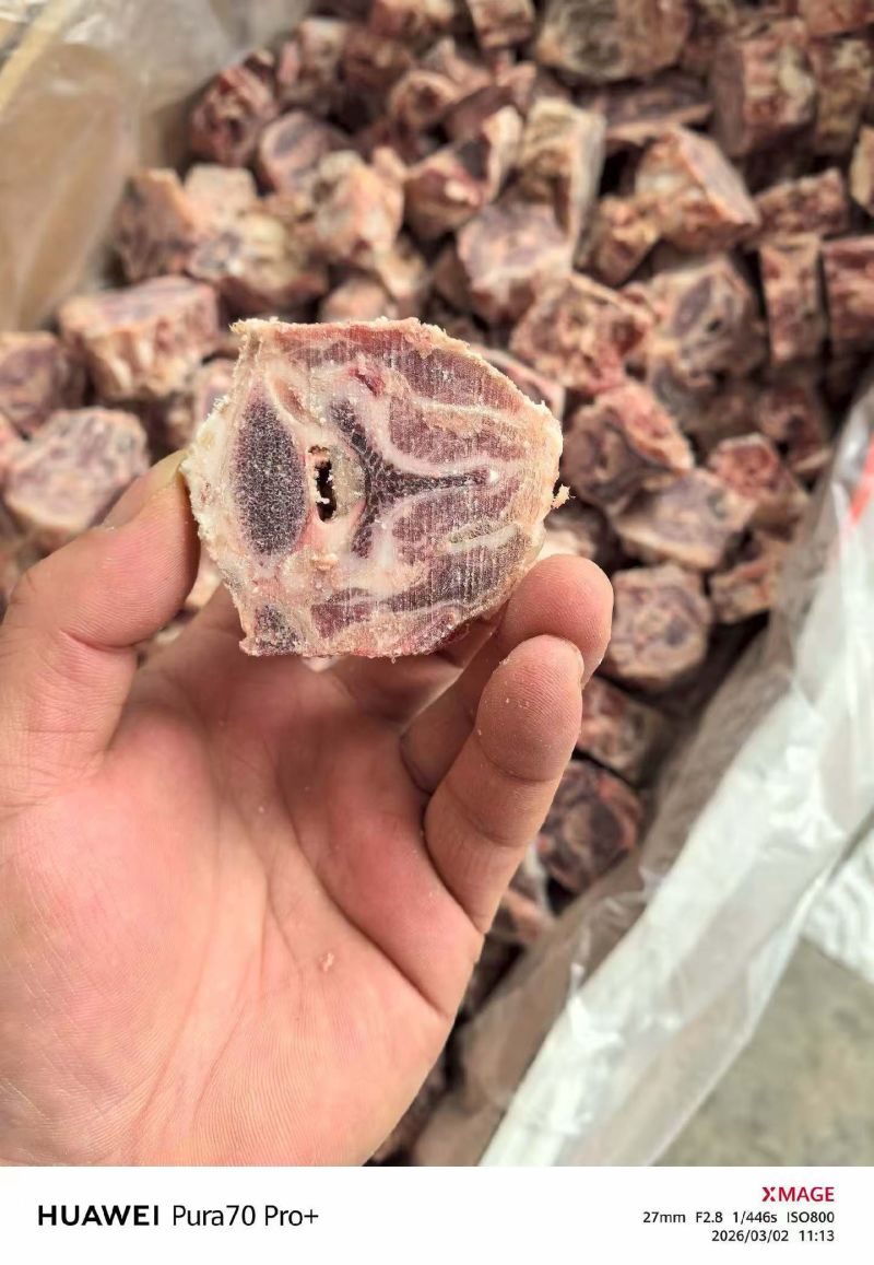 羊蝎子