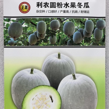 冬瓜种子利农圆粉水果冬瓜杂交种口感好产量高抗病耐运