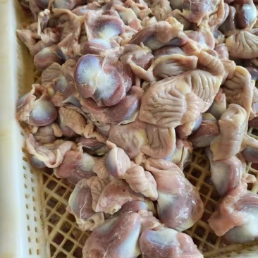 屠宰场鸡胗新鲜美味，各渠道可用