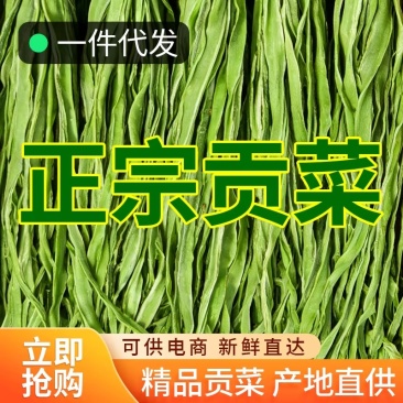 贡菜新货产地直销火锅食材酒店餐饮供应
