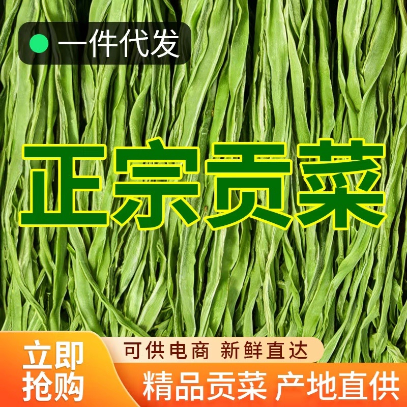 贡菜新货产地直销火锅食材酒店餐饮供应