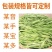 贡菜新货产地直销火锅食材酒店餐饮供应