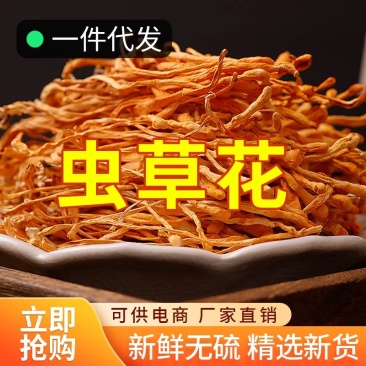 虫草花煲汤食材新鲜食材