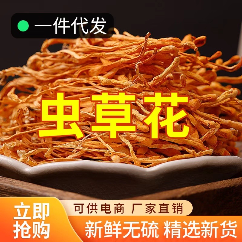 虫草花煲汤食材新鲜食材