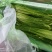 什邡蒜苔大量上市了