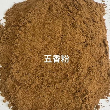 东森公司源头厂家直销，可贴牌，可代工，五香粉