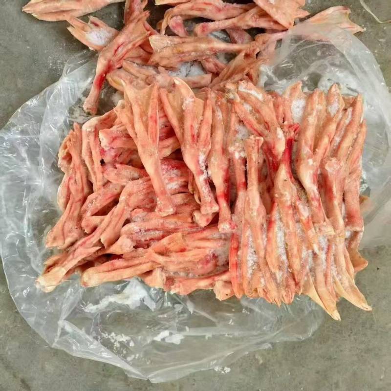 出售鹅掌
