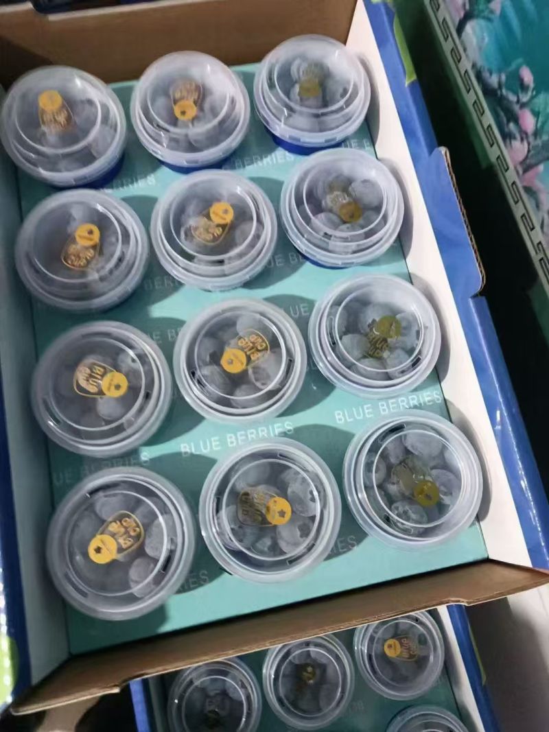 山东蓝莓基地新鲜大量上市蓝莓纯甜口电商市场商超货货源充足