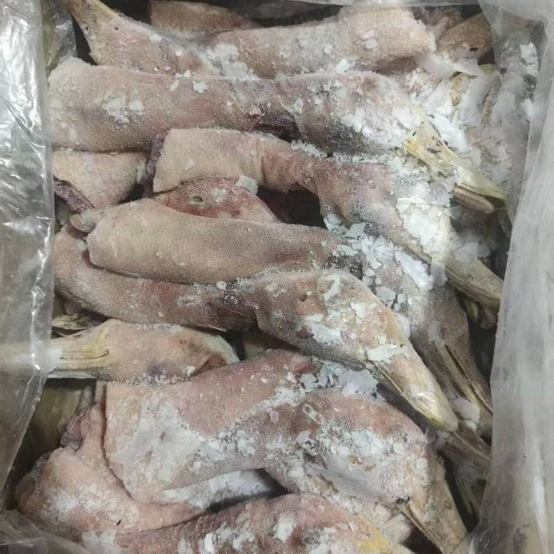 老鸭头脖