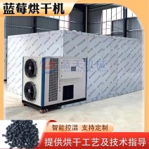 蓝莓干烘干机空气能蓝莓烘干房大型水果脱水烘干设备