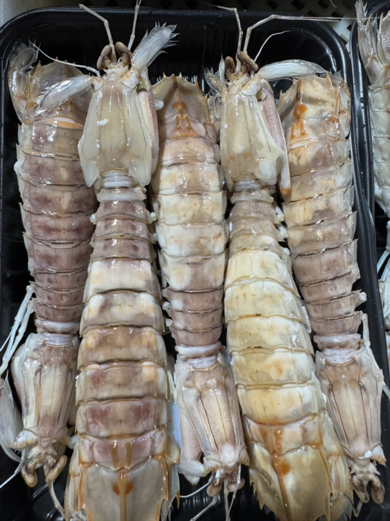 膏皮皮虾活煮的条条肉质饱满有肉，适合各大酒店，大排