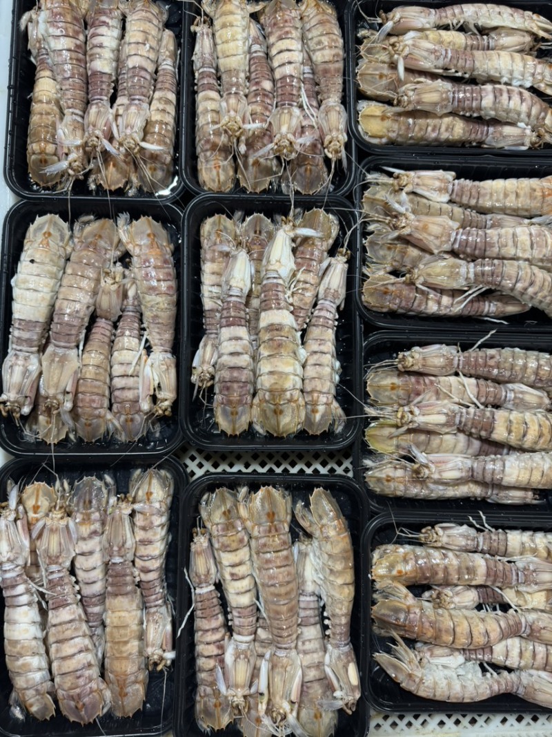 膏皮皮虾活煮的条条肉质饱满有肉，适合各大酒店，大排