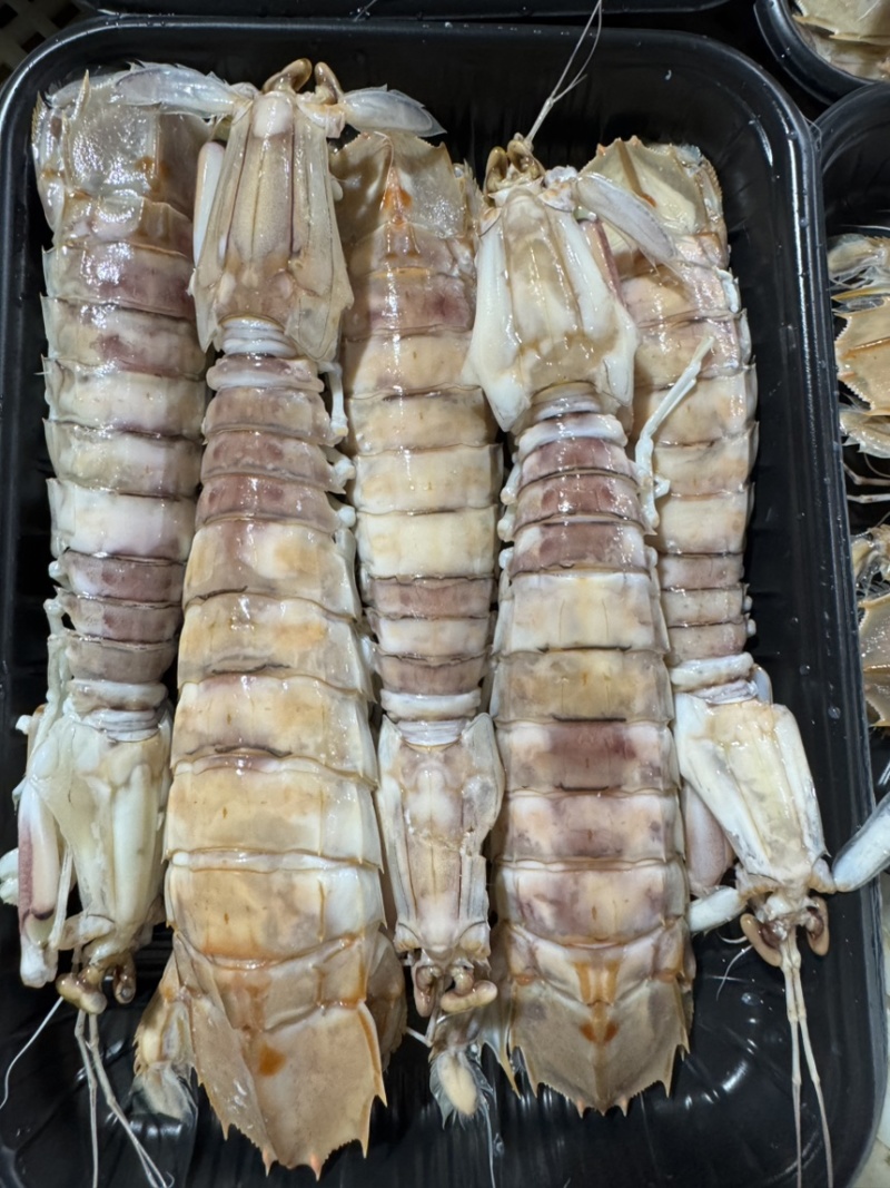 膏皮皮虾活煮的条条肉质饱满有肉，适合各大酒店，大排