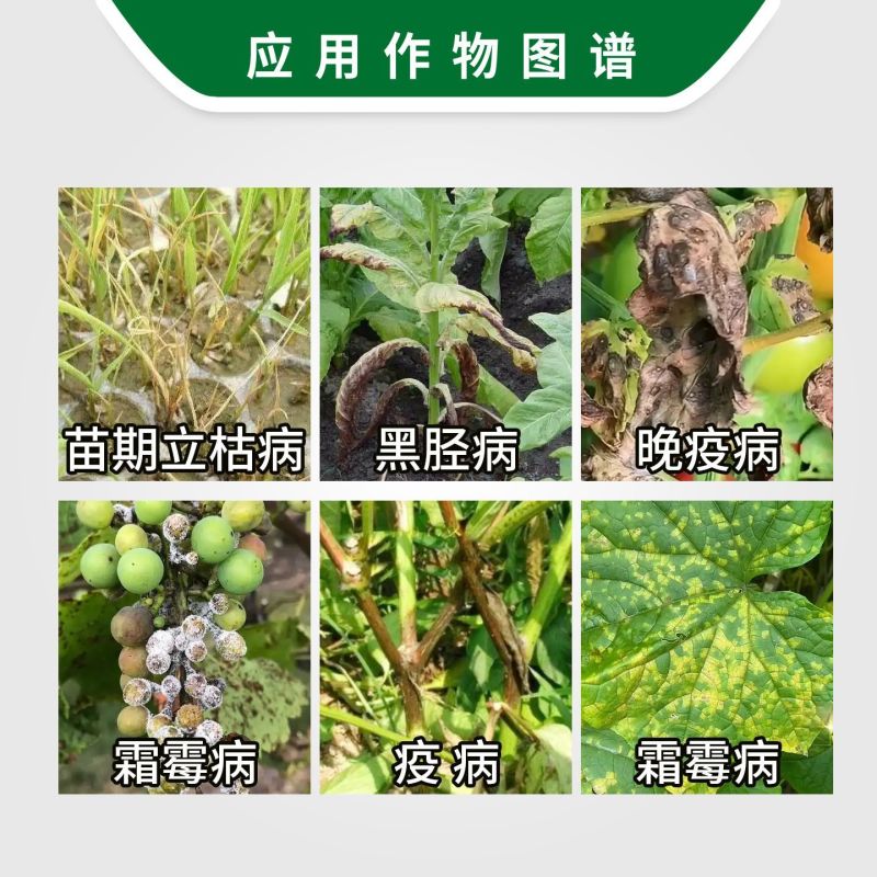 宝灵宝克25%甲霜灵霜霉威盐酸盐黄瓜霜霉晚疫立枯病农药