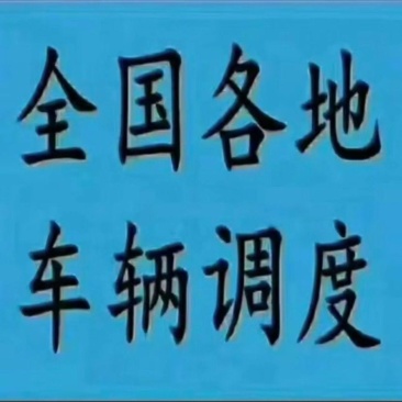 专线调度全国车辆