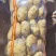 内蒙翻包码面精品货