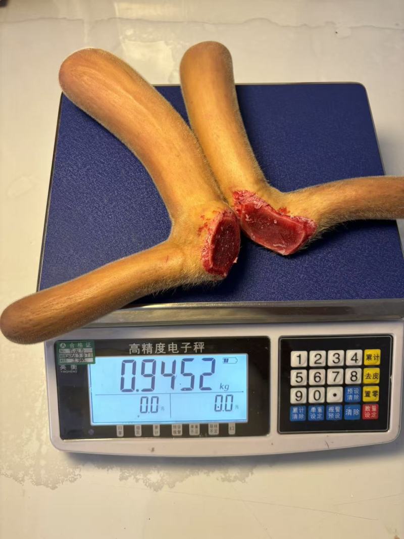 梅花鹿茸鹿场直发一手货源鹿场发货一件代发